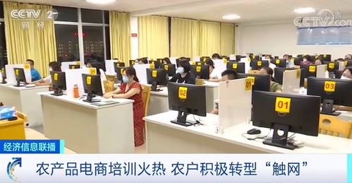 黄金果 上市季,一家店一天卖出十几万元