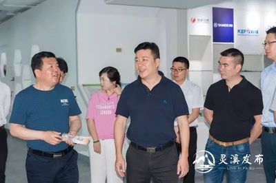 吉林市第一批来温培训的乡镇党委书记来灵溪交流学习